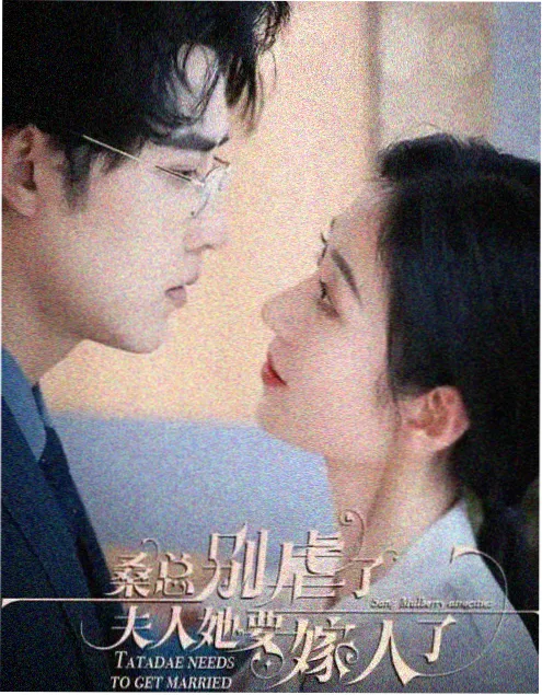 雾港纪事热播剧集海报